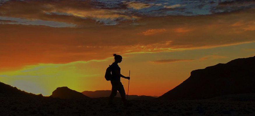 arbre-desert-namibien-tour-guide