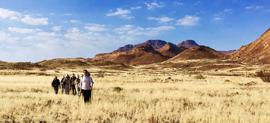 espece-vegetal-flore-desert-afrique-namibie