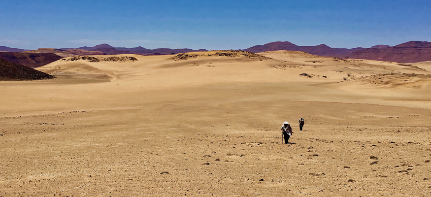 orchidee-savanne-desert-bivouac-camps-parc-naturel