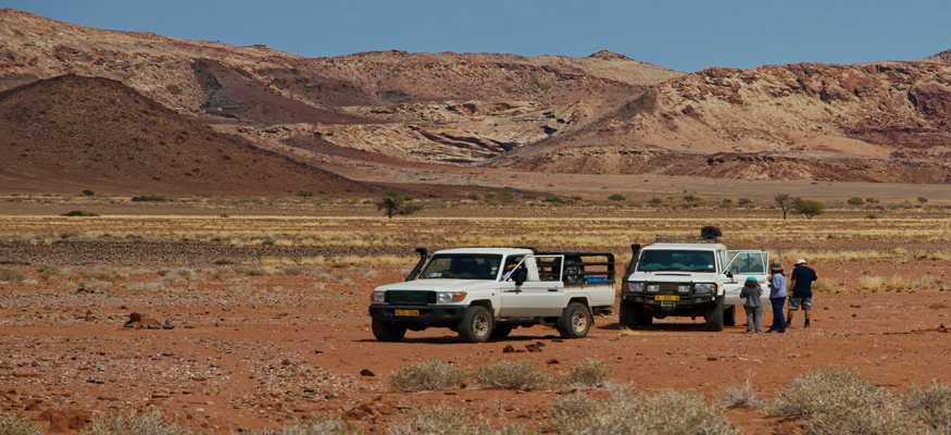 plante-toxique-namibie-guide-francophone-circuit-surmesure