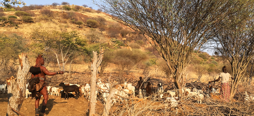 berger-bergerie-namibie