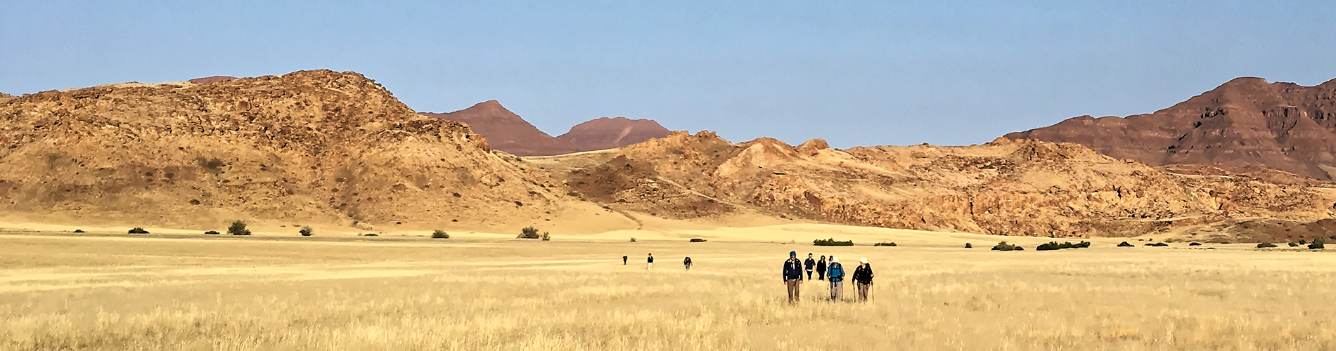 equipe francophone safaris familiale en 4x4 à travers namibie