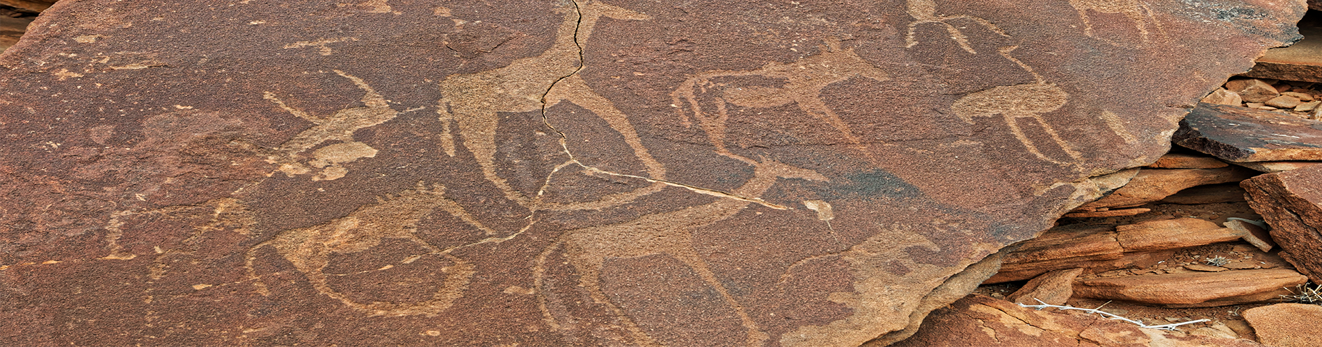 bivouac sauvage avec guide francophone en sejour longue duree