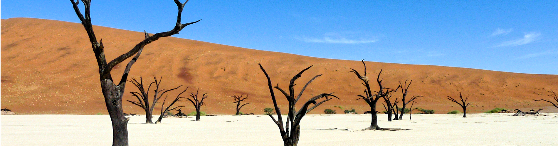 circuit dans le bush de la namibie en 4x4 avec un guide francophone